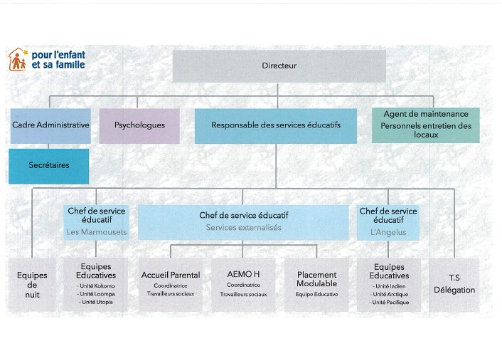 Organigramme de l'association